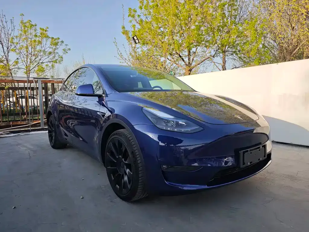 Tesla Model Y — фото 8