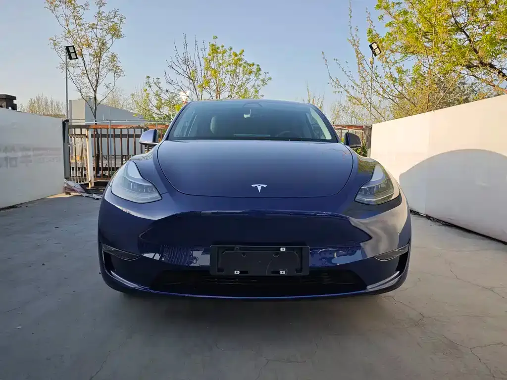 Tesla Model Y — фото 3