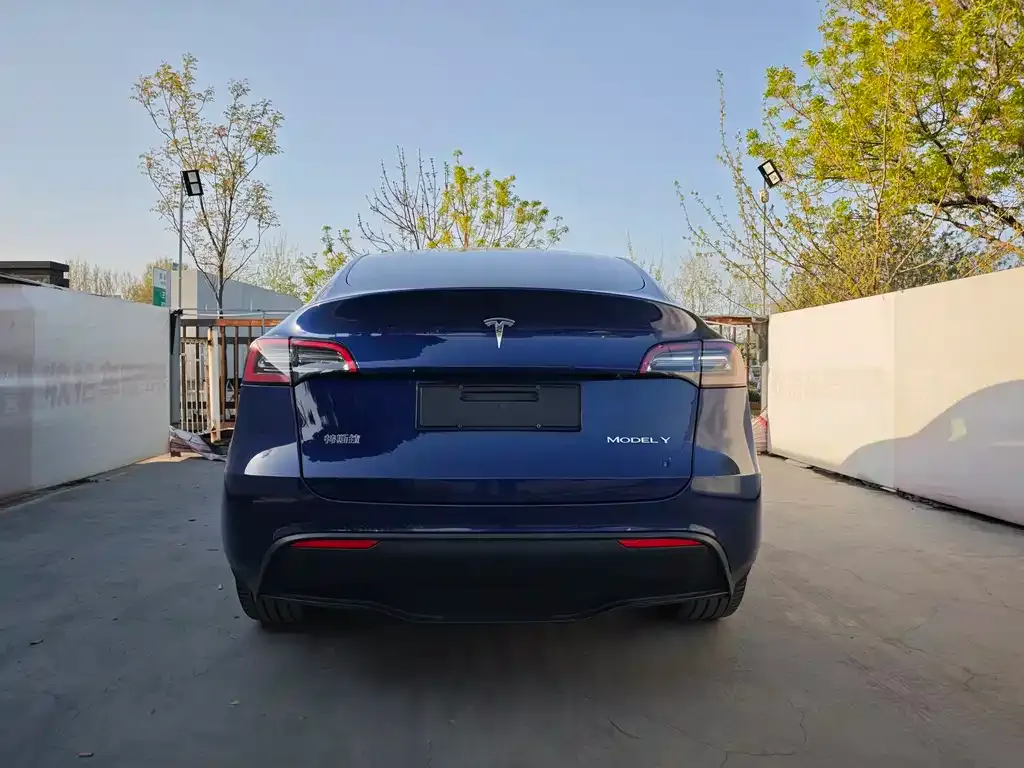 Tesla Model Y — фото 6