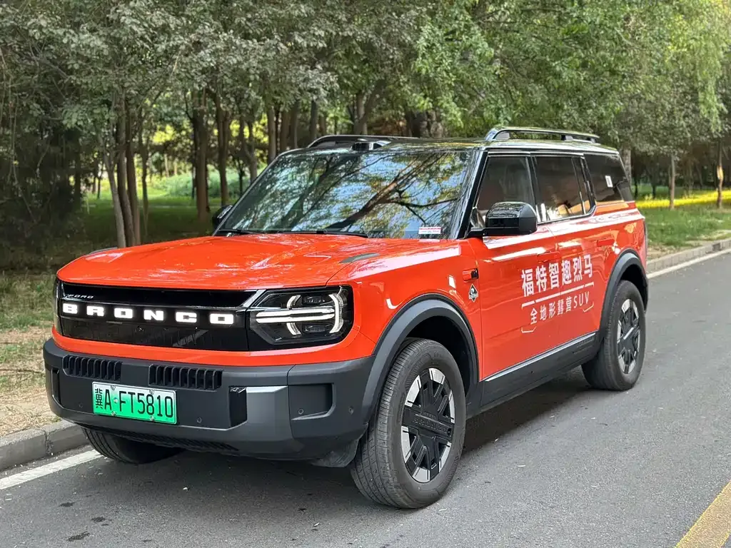 Ford Smart Fun Horse
