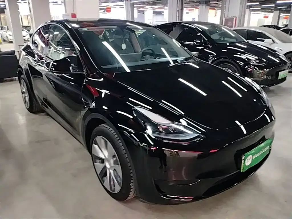 Tesla Model Y — фото 9