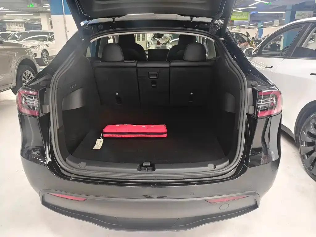 Tesla Model Y — фото 10
