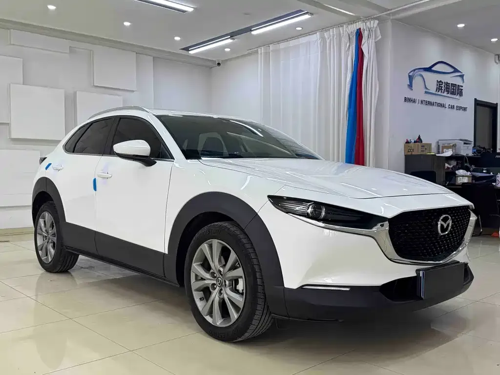 Mazda CX-30 2022 из CN, фото 6