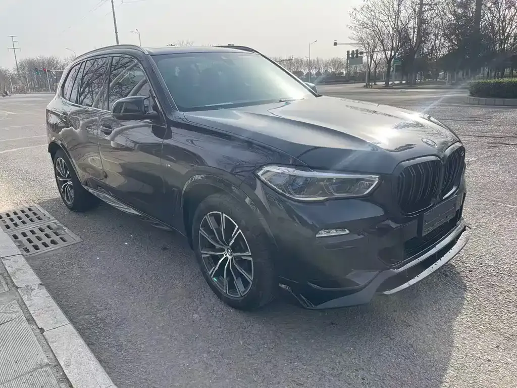 BMW X5 (Import) 2021 из CN, фото 4