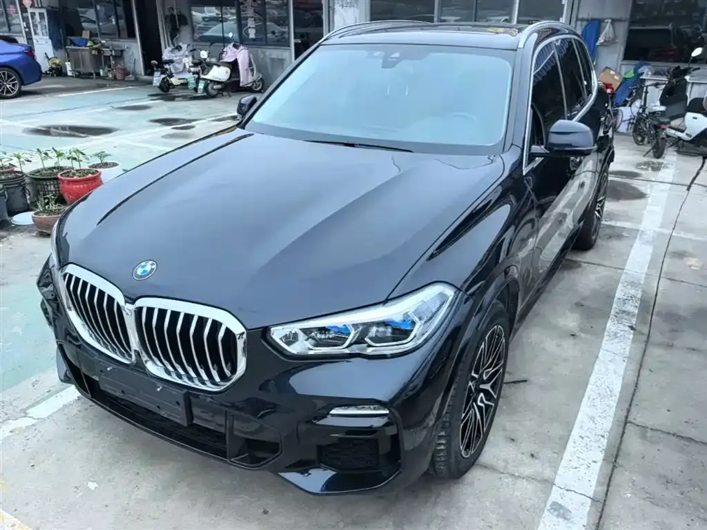 BMW X5 (Import) 2021 из CN, фото 6
