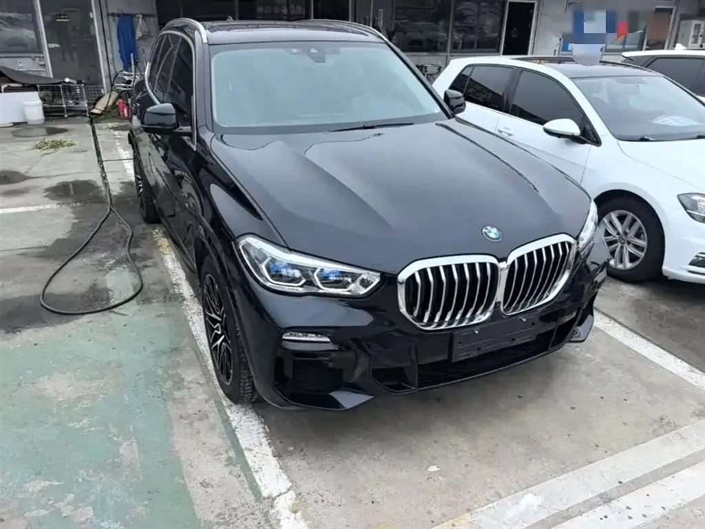 BMW X5 (Import) 2021 из CN, фото 9