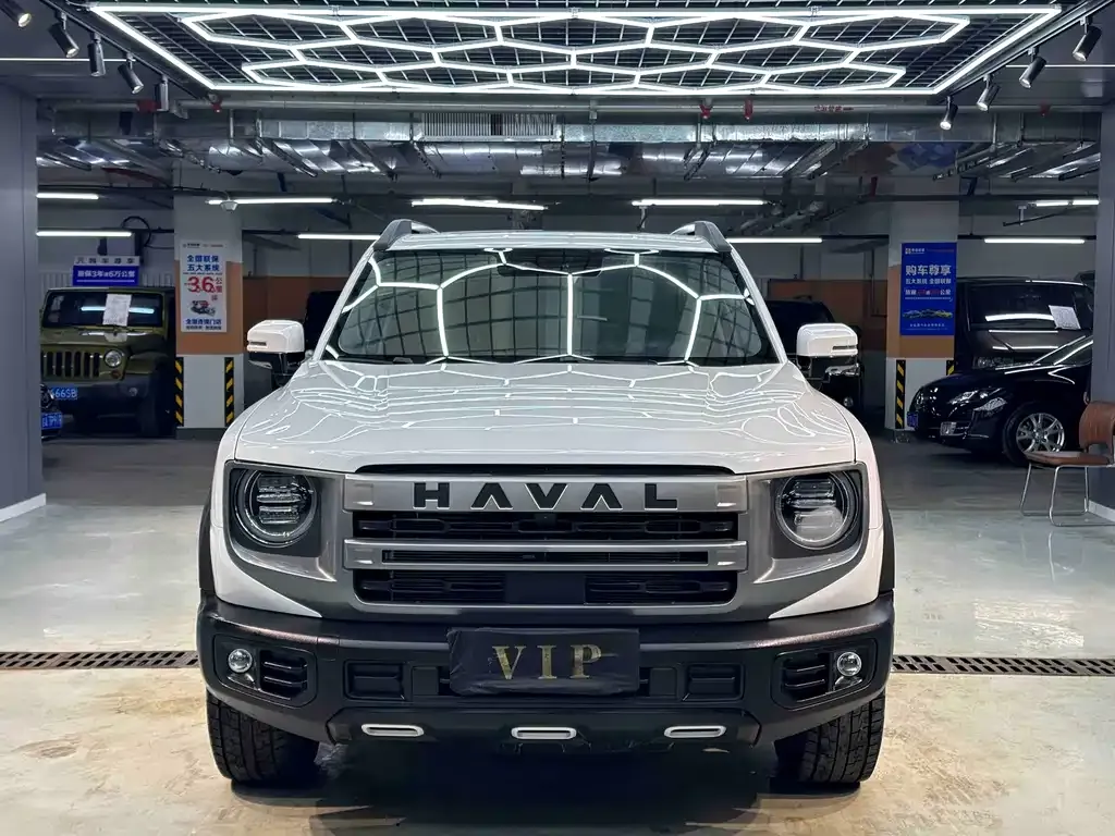 Haval Big Dog 2023 из CN, фото 6