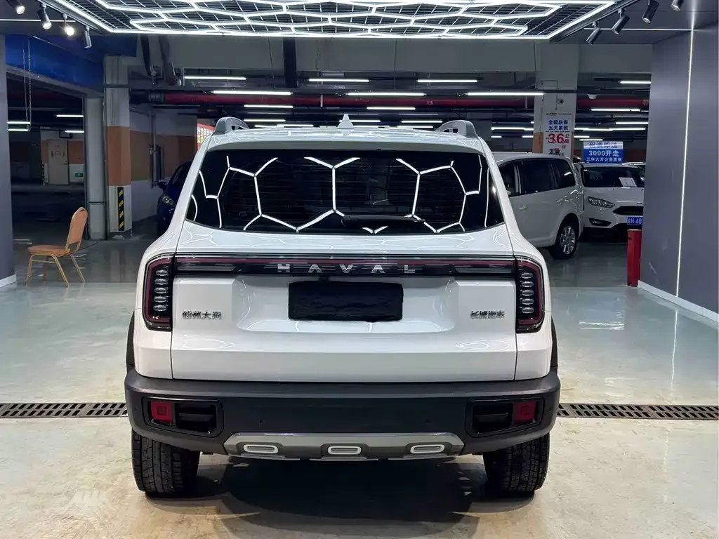 Haval Big Dog 2023 из CN, фото 3