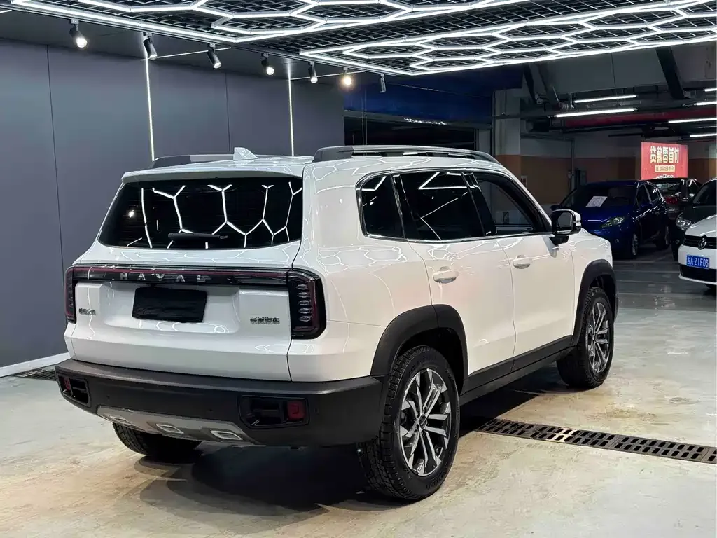 Haval Big Dog 2023 из CN, фото 2