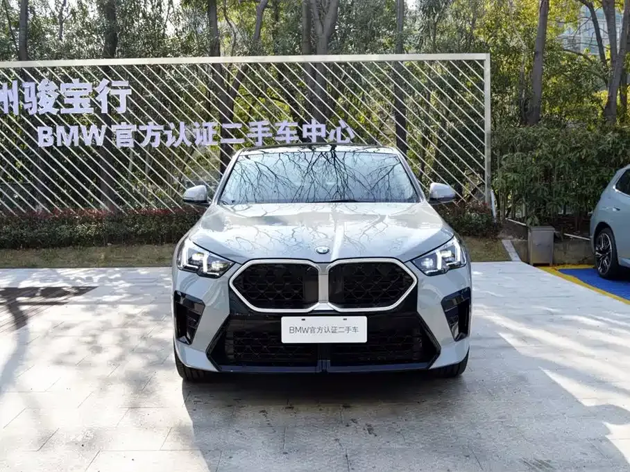 BMW X2 (Import) 2025 из CN, фото 8