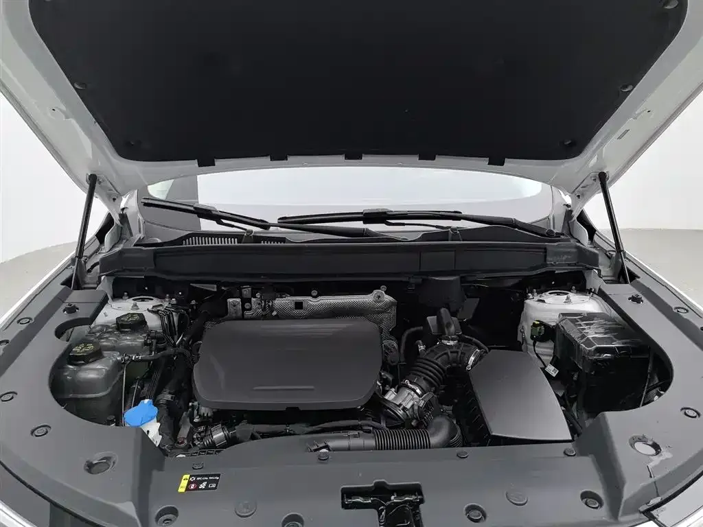 Haval Xiaolong MAX 2024 из CN, фото 10