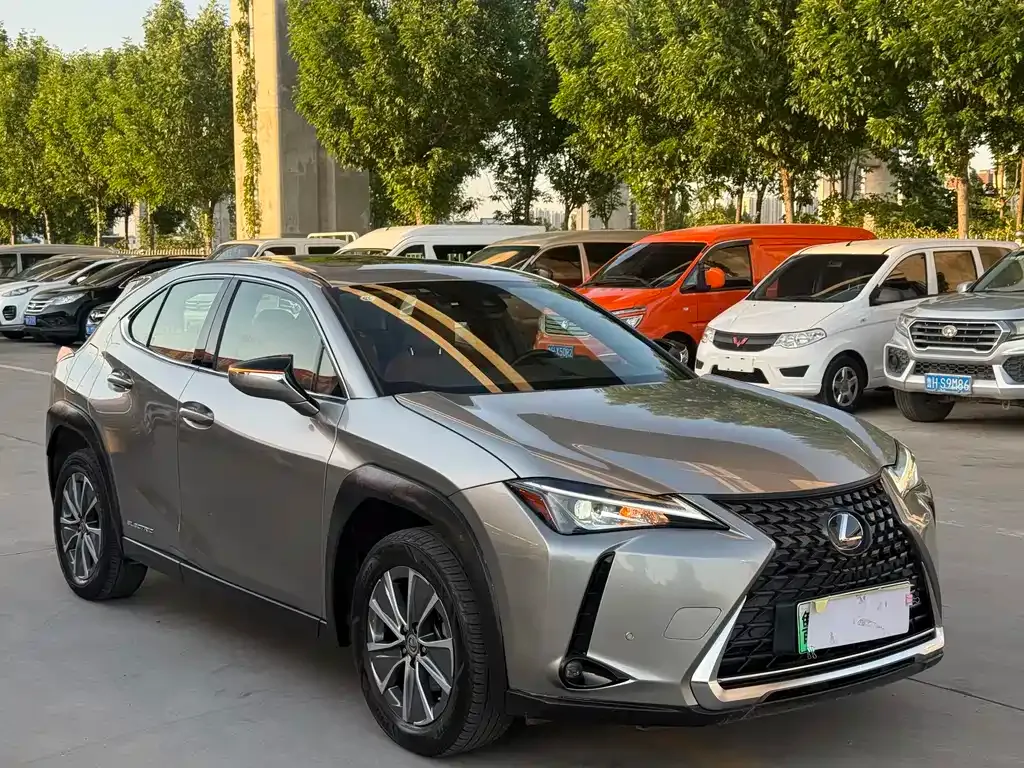 Lexus UX New Energy 2023 из CN, фото 7