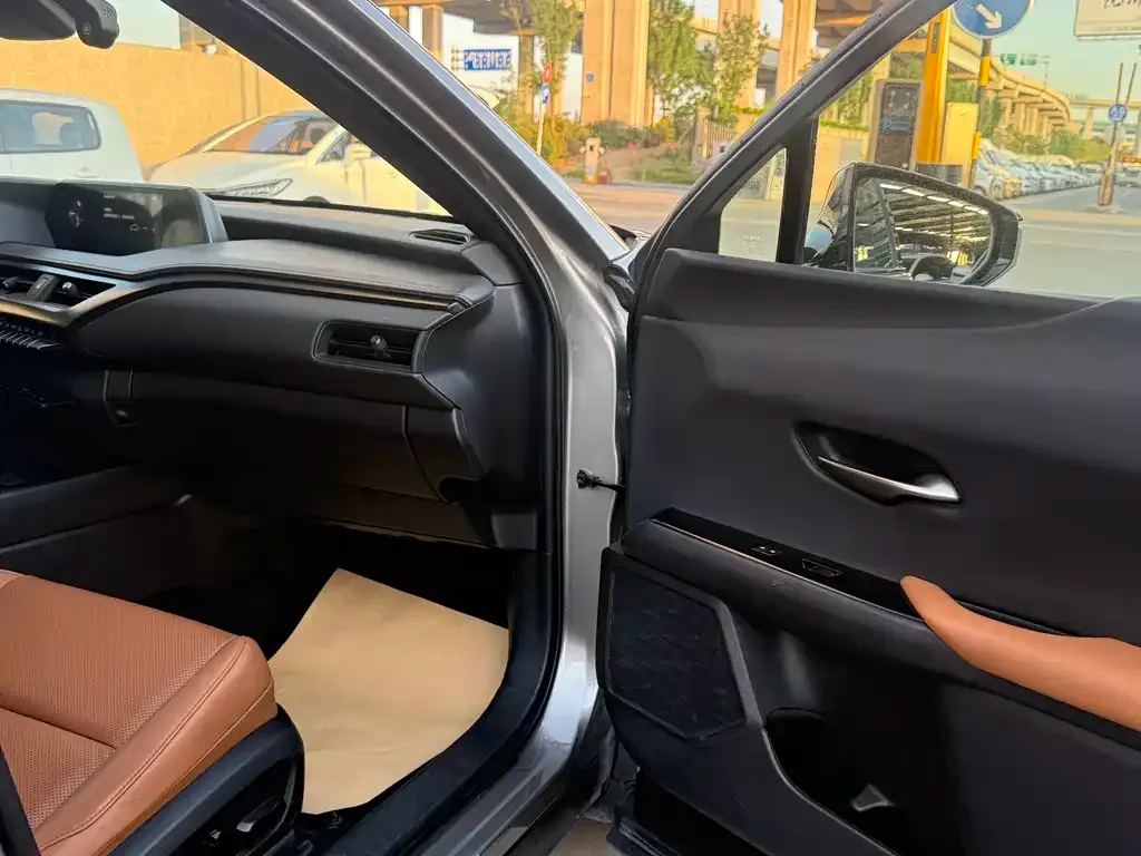Lexus UX New Energy 2023 из CN, фото 5