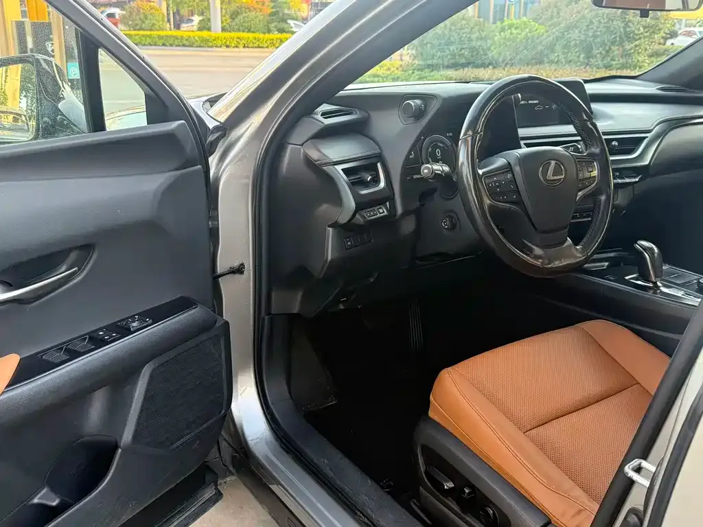 Lexus UX New Energy 2023 из CN, фото 4