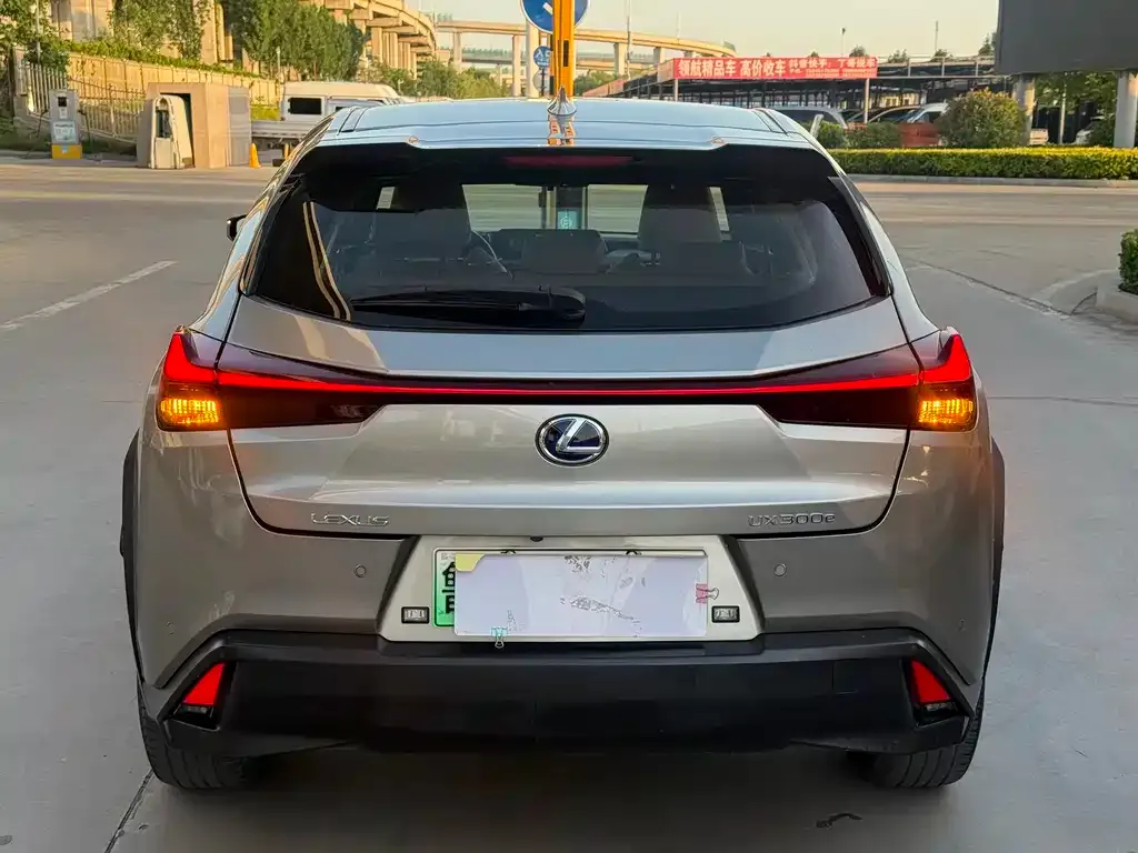 Lexus UX New Energy 2023 из CN, фото 9
