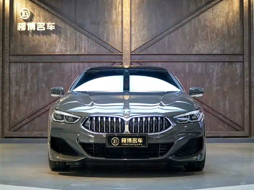 BMW 8 Series 2022 из CN, фото 4