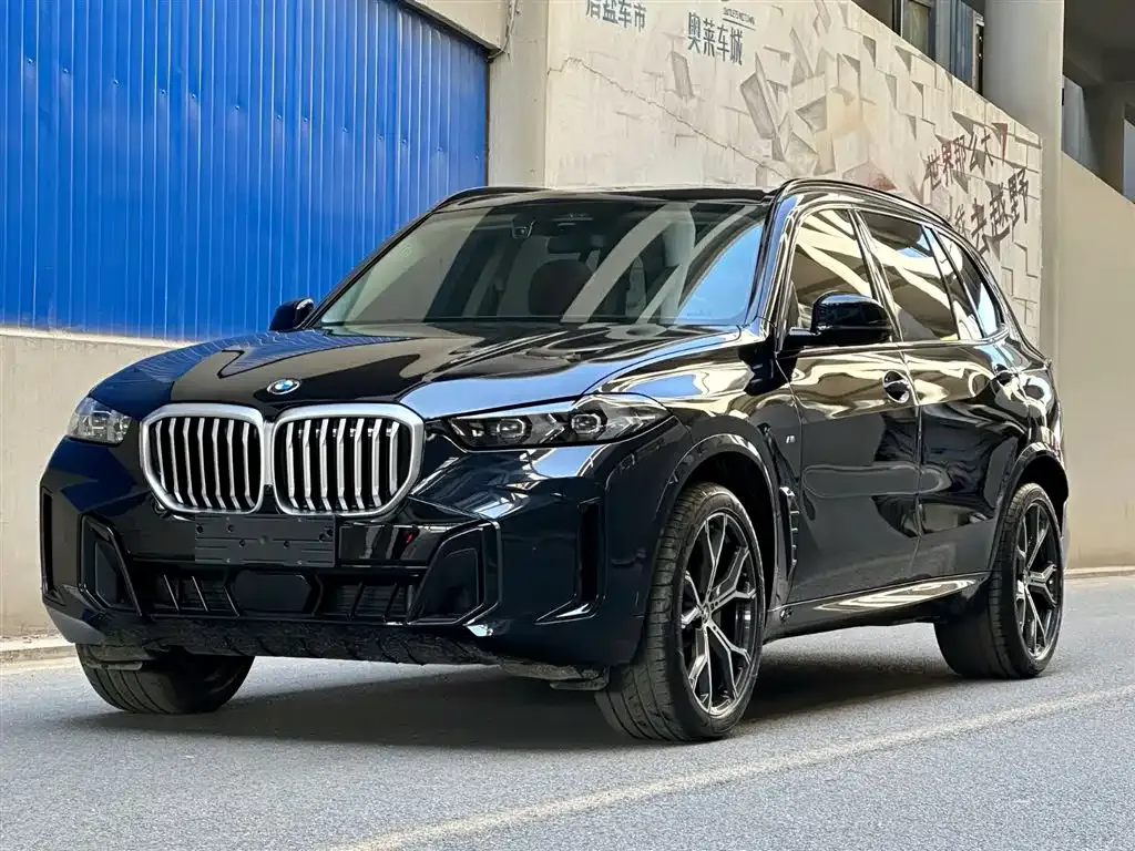 BMW X5 — фото 1