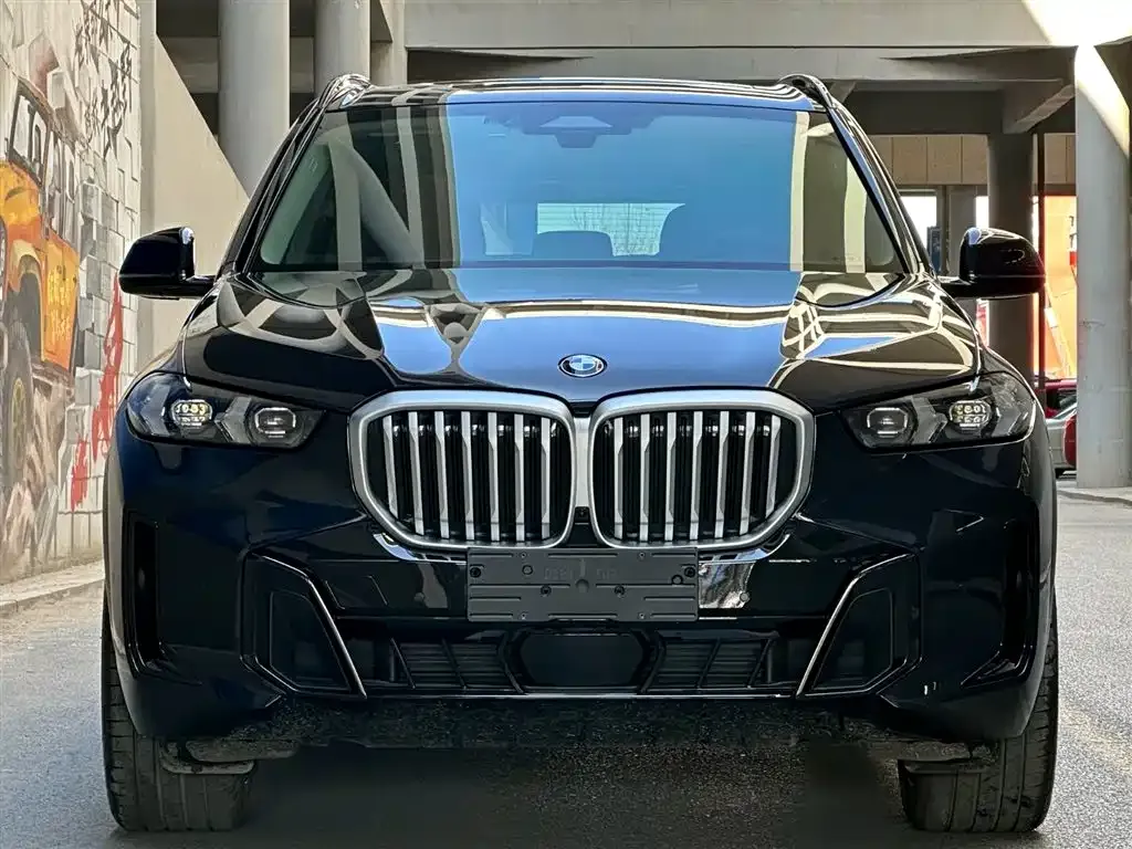 BMW X5 — фото 3