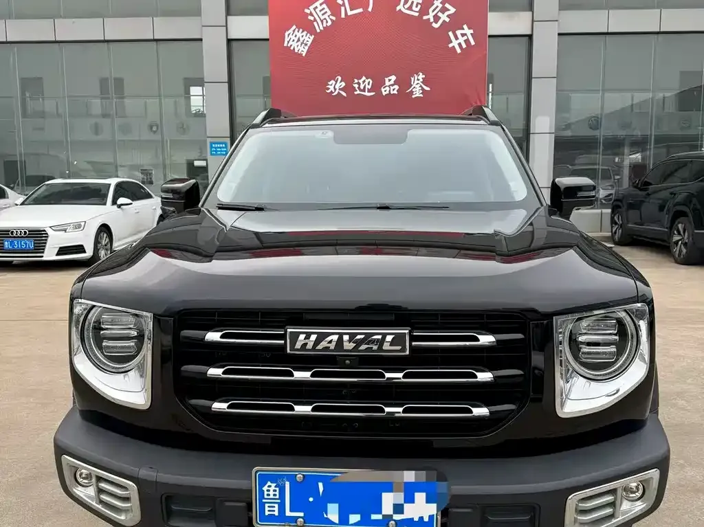 Haval Big Dog — фото 7
