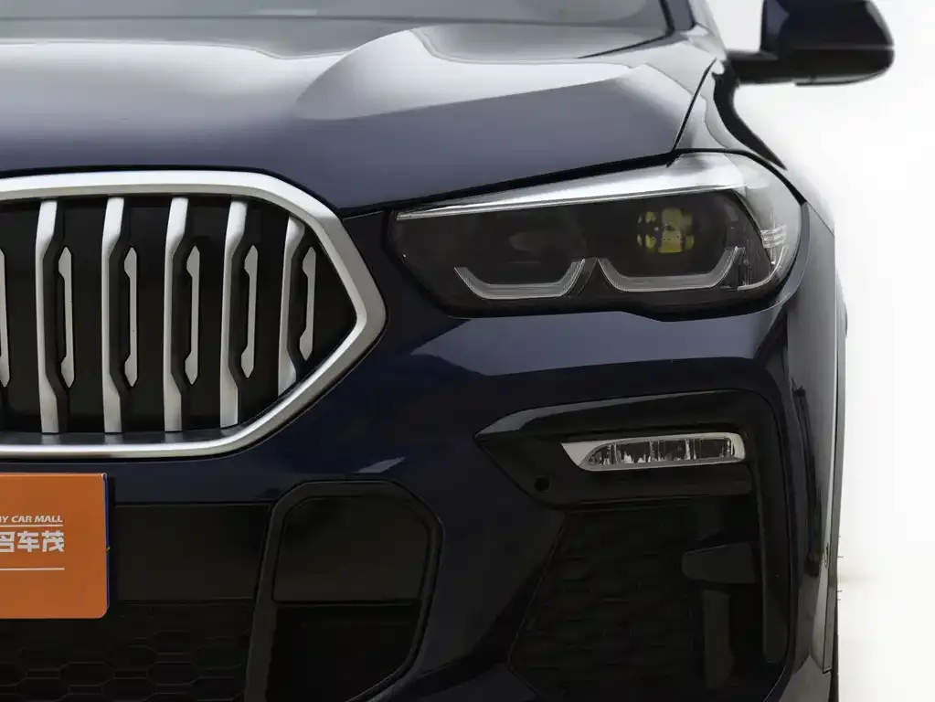 BMW X6 2021 из CN, фото 7
