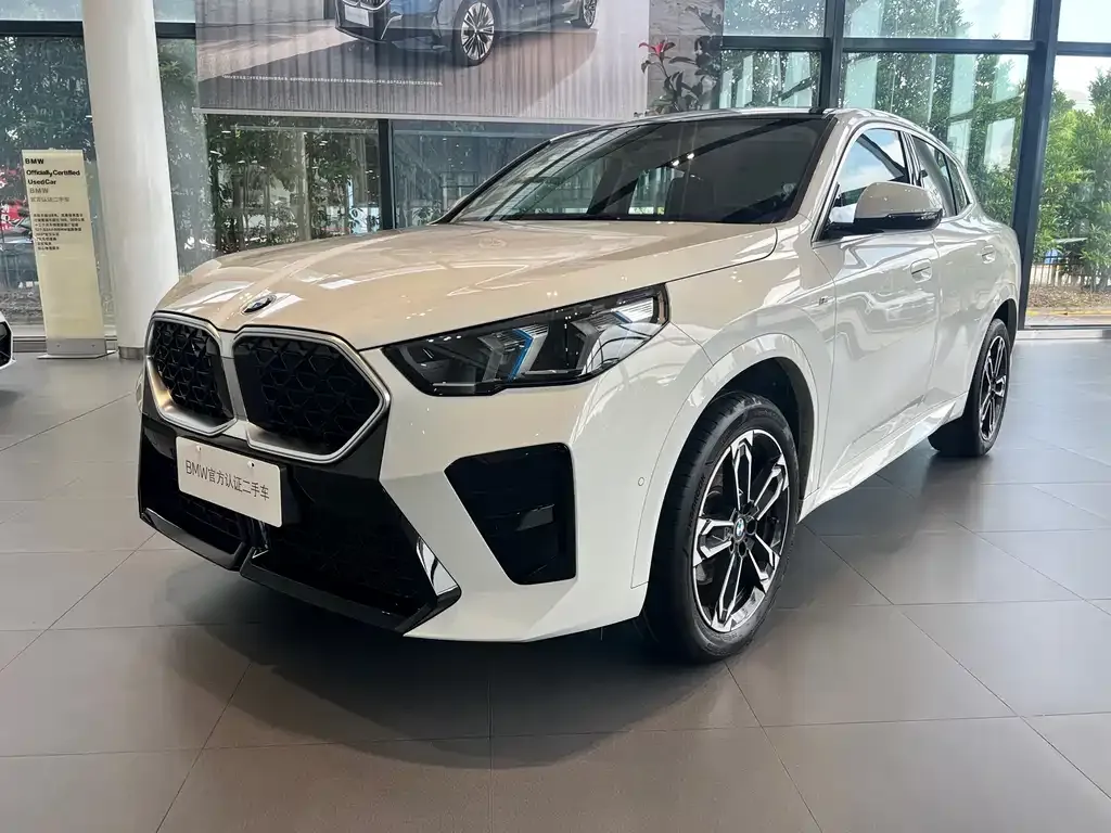 BMW X2 (Import) — фото 1