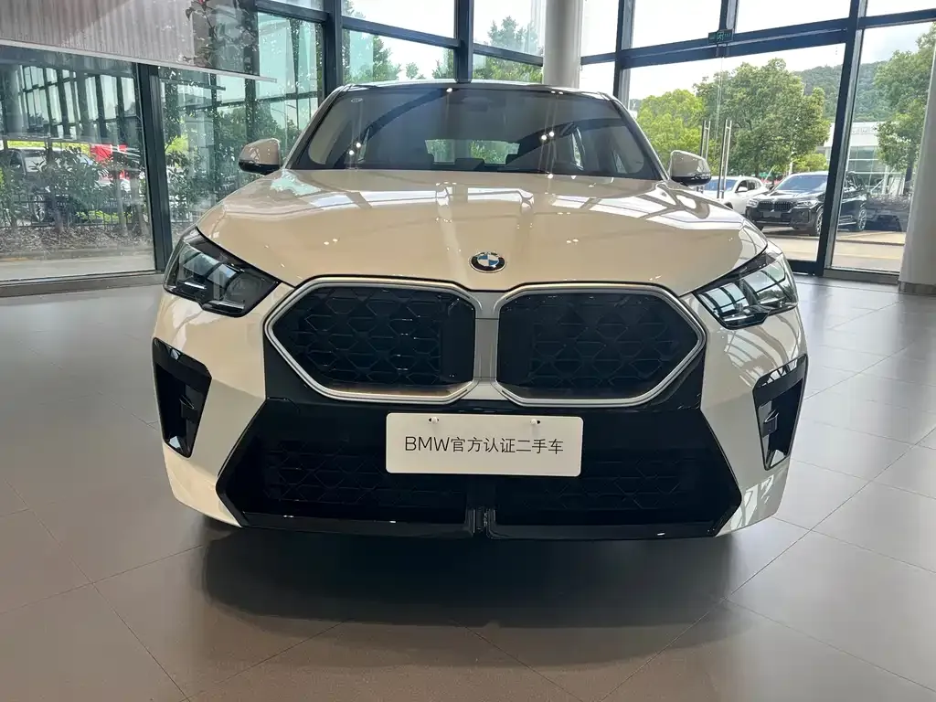 BMW X2 (Import) — фото 8
