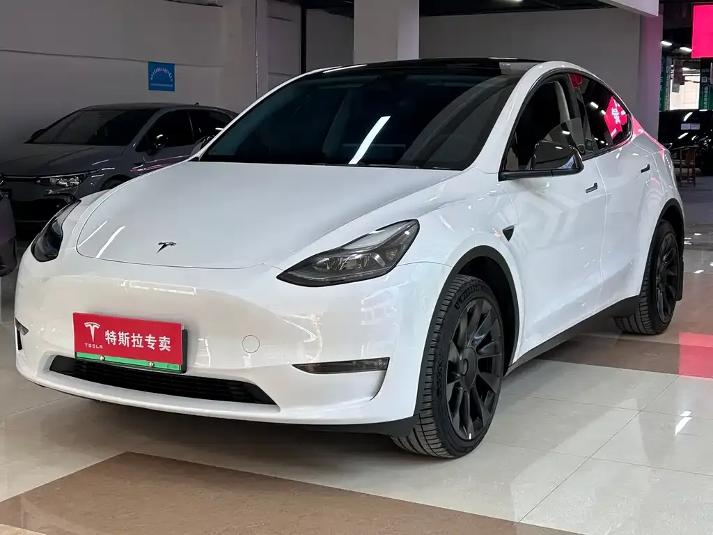Tesla Model Y — фото 1