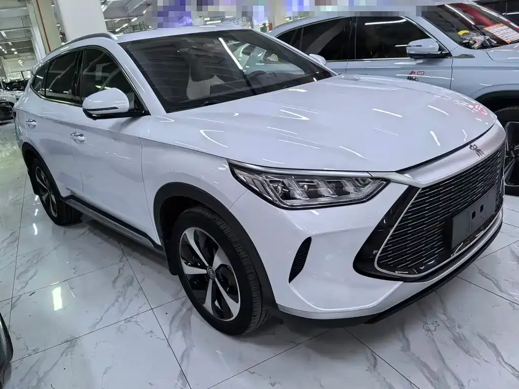 BYD PLUS New Energy — фото 8