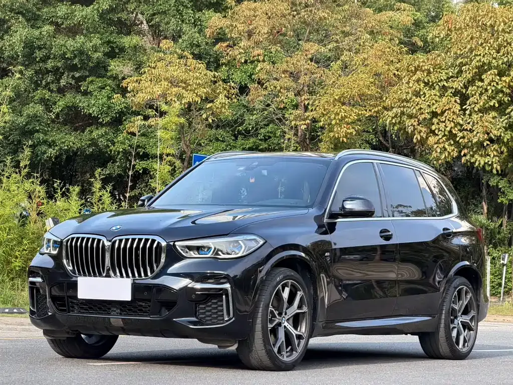 BMW X5 — фото 1