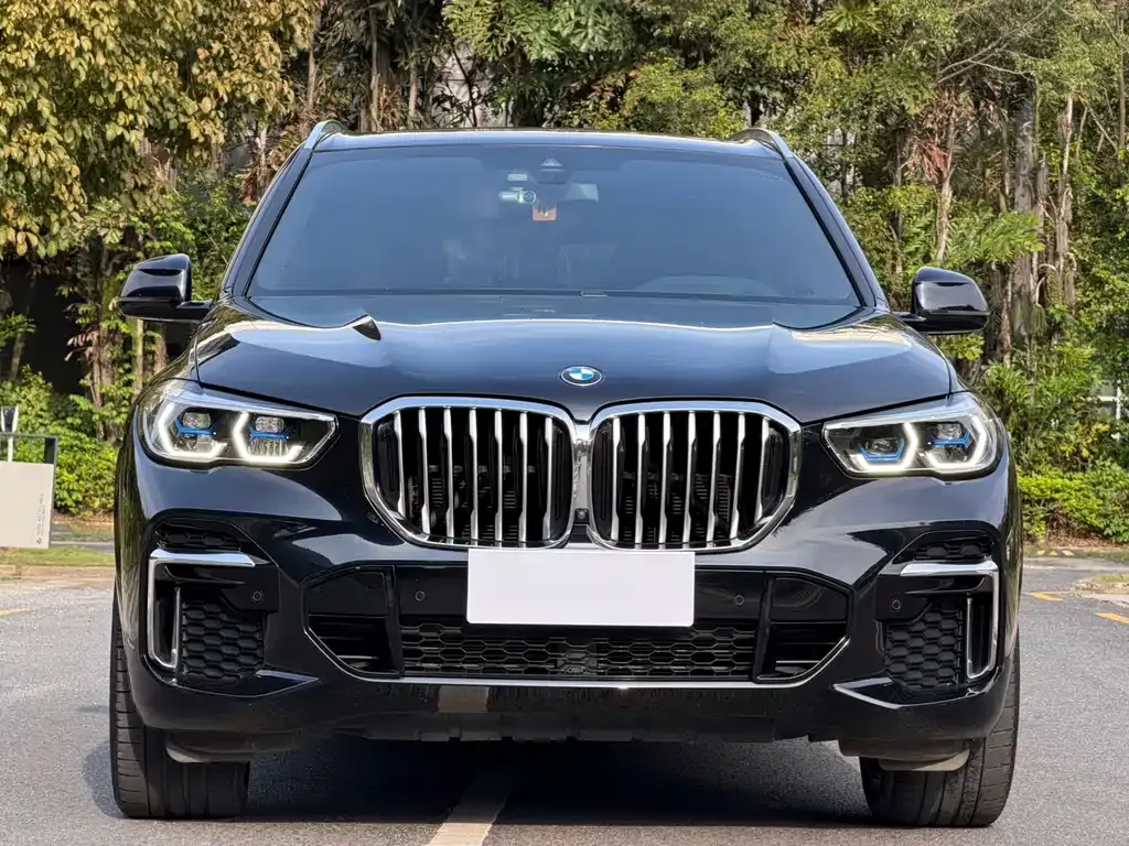 BMW X5 — фото 9