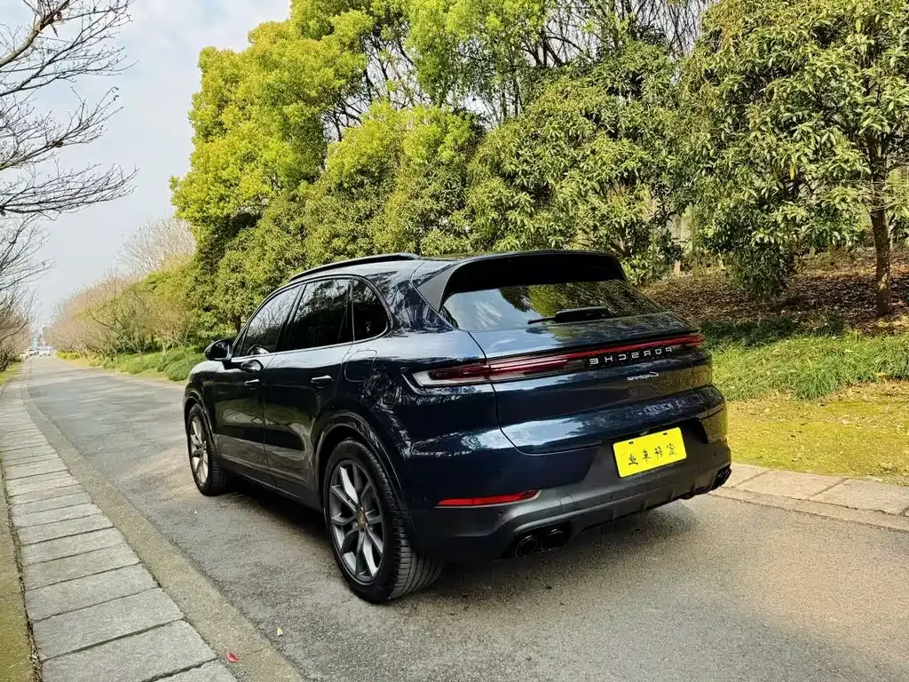 Porsche Cayenne — фото 7