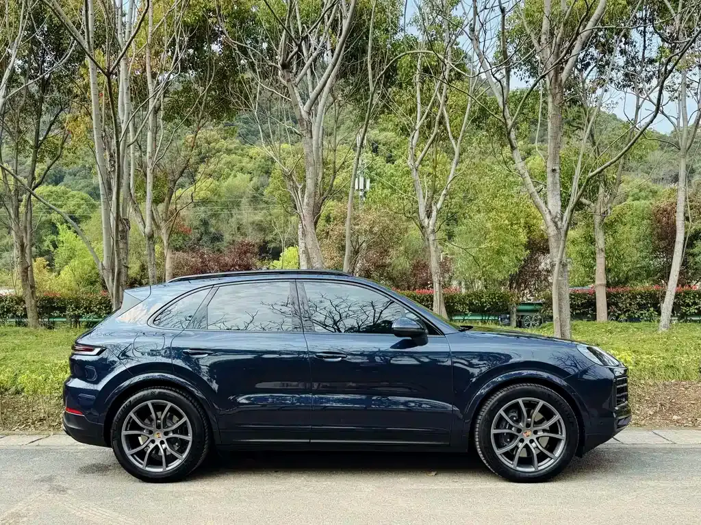 Porsche Cayenne — фото 10