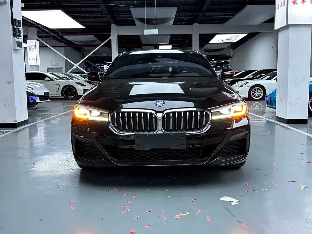 BMW 5 Series 2024 из CN, фото 3