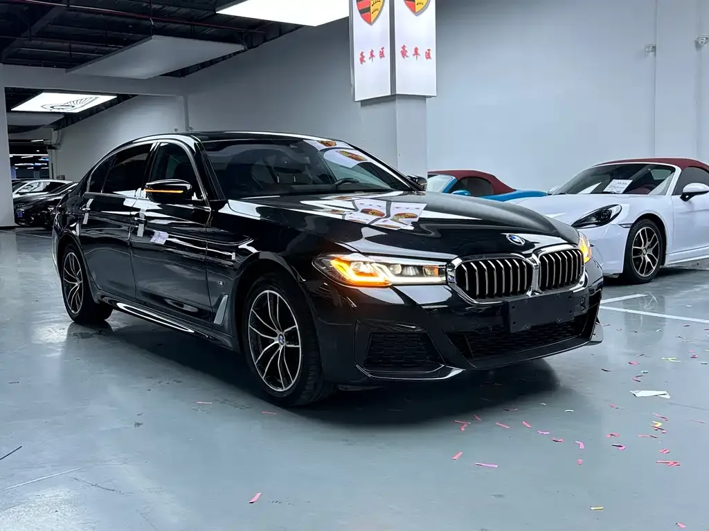 BMW 5 Series 2024 из CN, фото 2