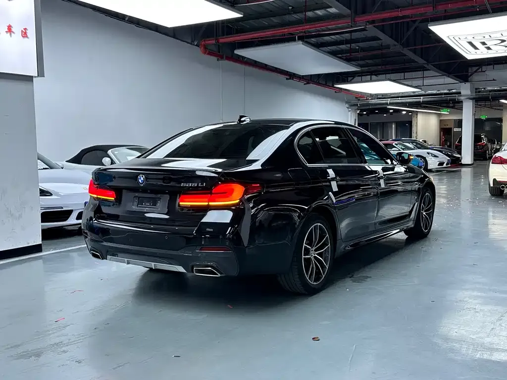 BMW 5 Series 2024 из CN, фото 4