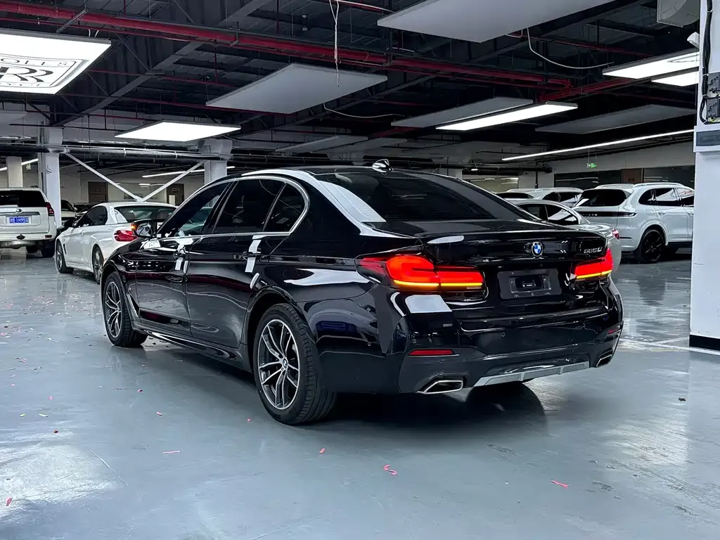 BMW 5 Series 2024 из CN, фото 8