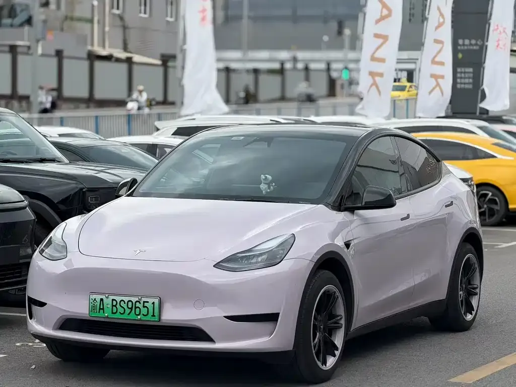 Tesla Model Y — фото 1