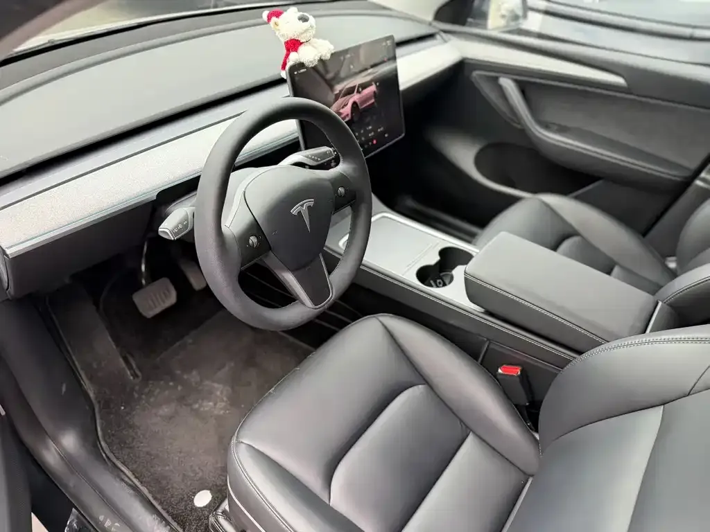 Tesla Model Y — фото 6