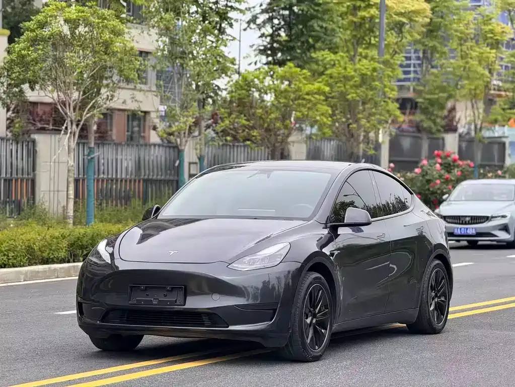 Tesla Model Y — фото 1