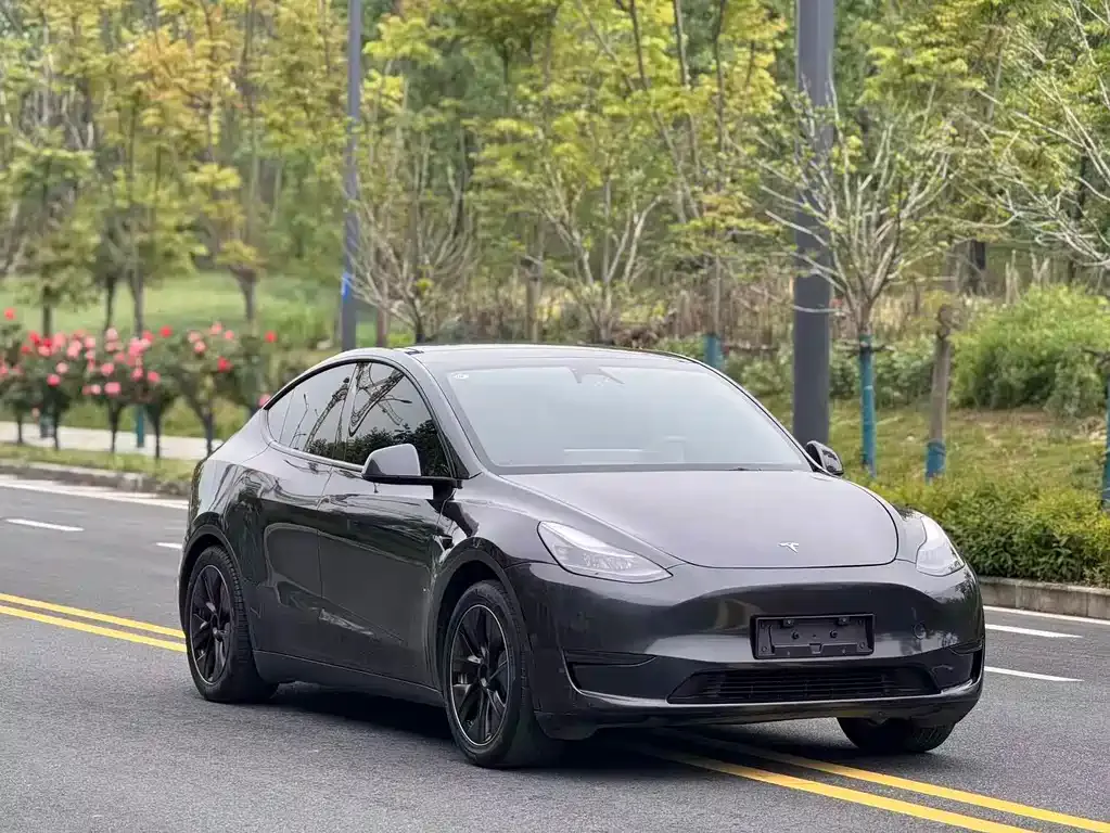 Tesla Model Y — фото 10
