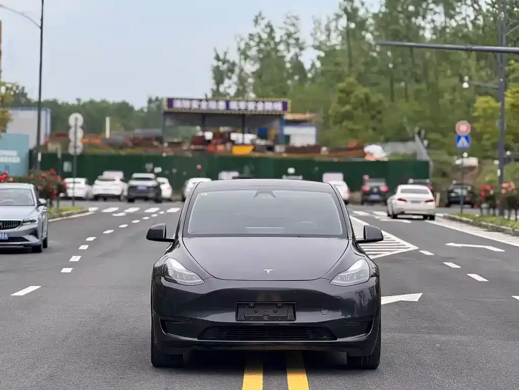 Tesla Model Y — фото 8