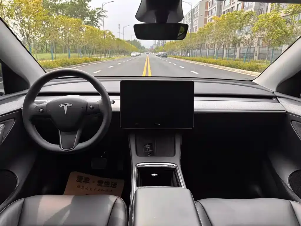 Tesla Model Y — фото 6
