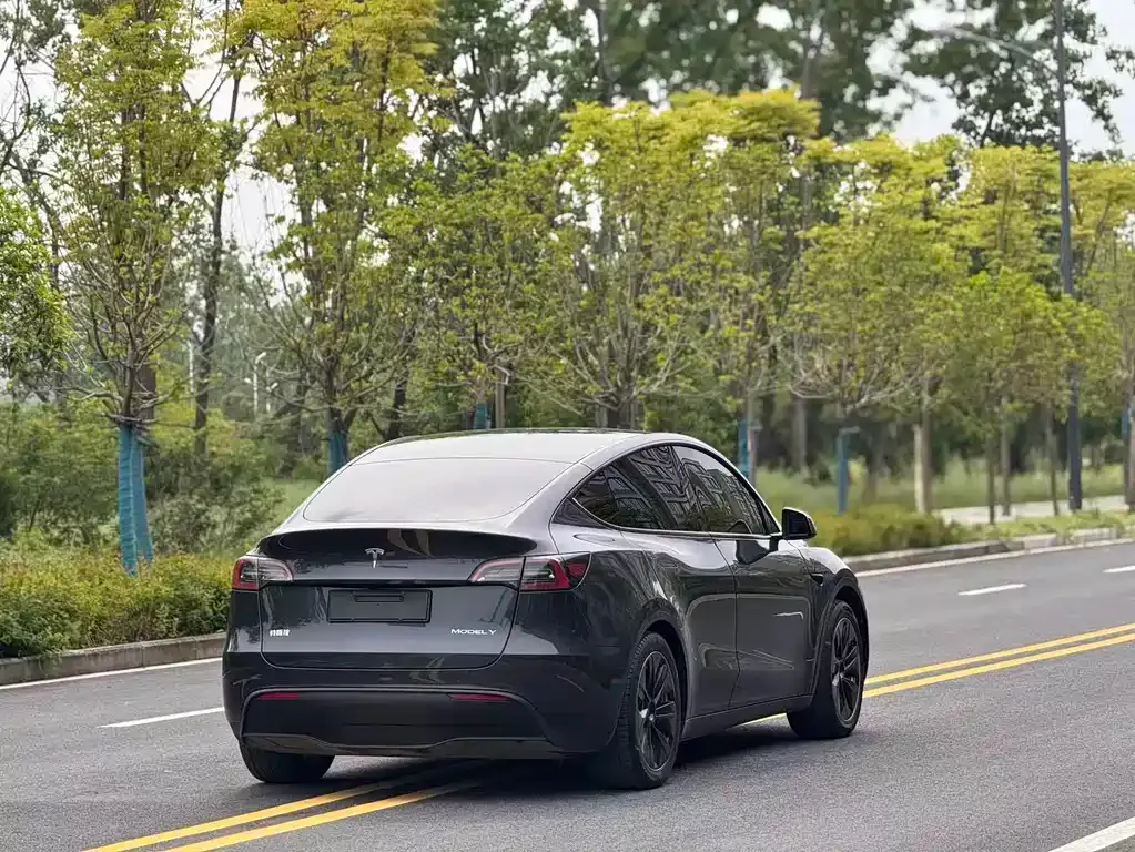 Tesla Model Y — фото 7