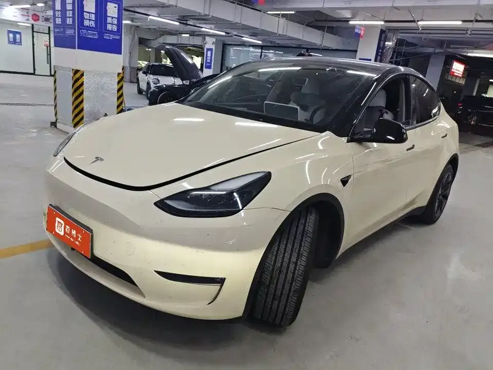 Tesla Model Y — фото 1