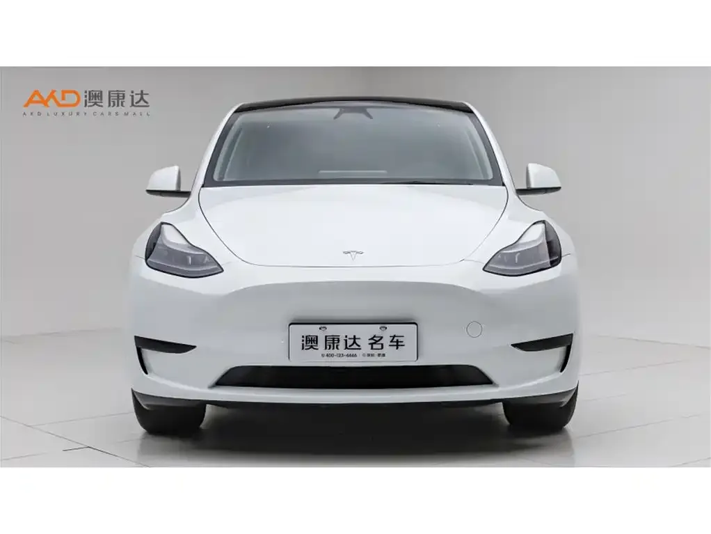 Tesla Model Y — фото 10