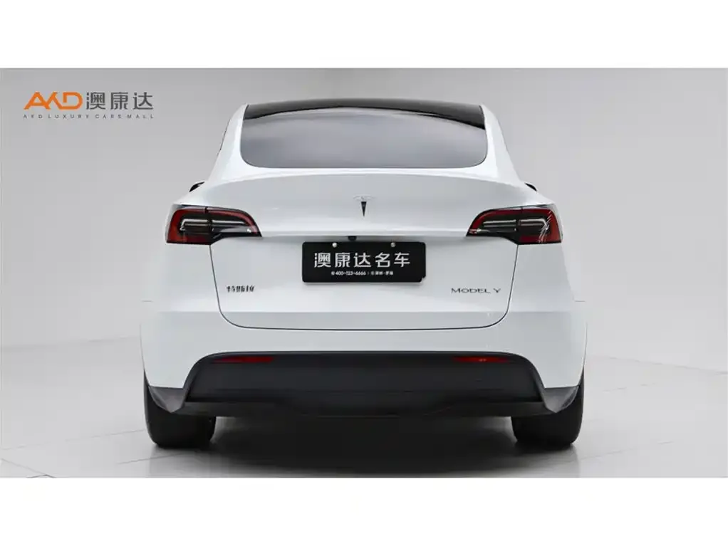Tesla Model Y — фото 7