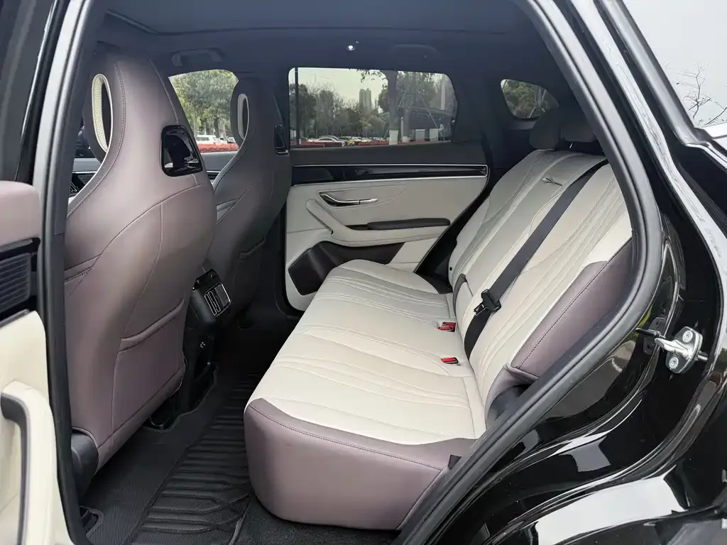 BYD PLUS New Energy — фото 5