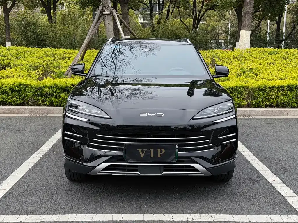 BYD PLUS New Energy — фото 10