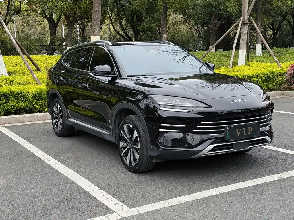 BYD PLUS New Energy — фото 4