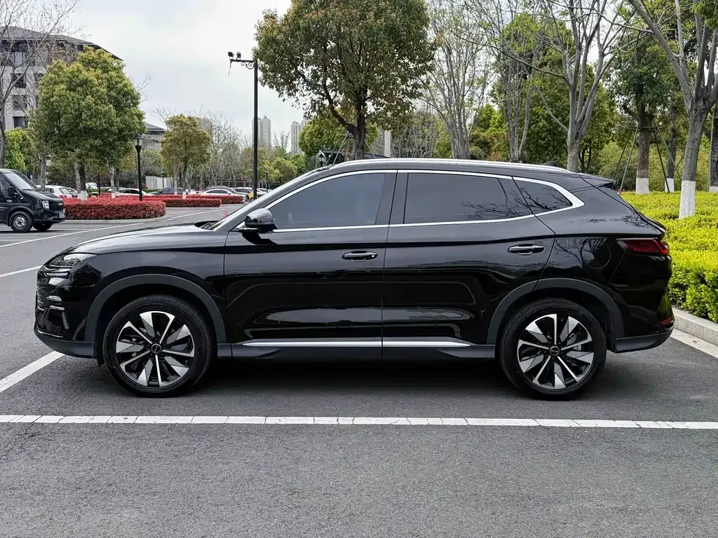 BYD PLUS New Energy — фото 9